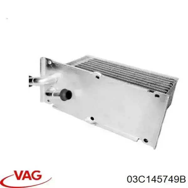 Radiador de aceite VAG 03C145749B precio, desde 67,25 EUR