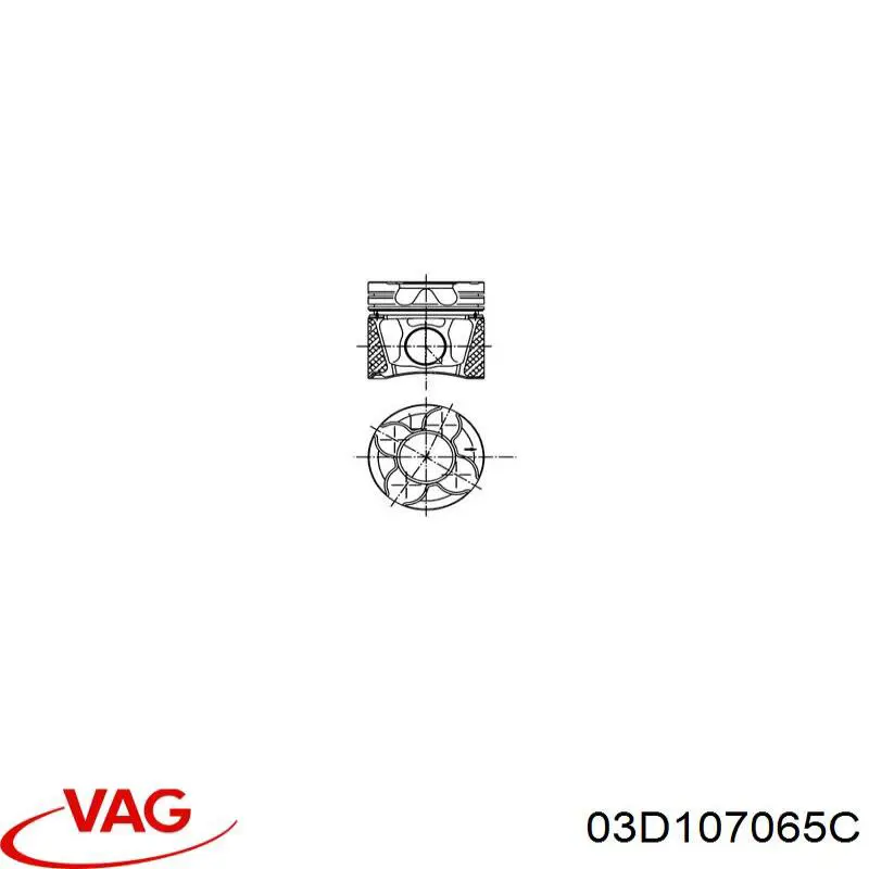 03D107065C VAG