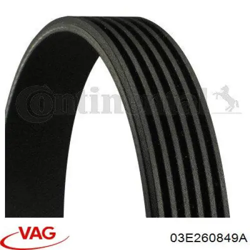 Correa de alternador 03E260849A VAG