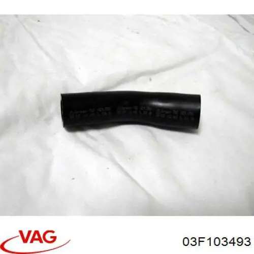 03F103493 VAG