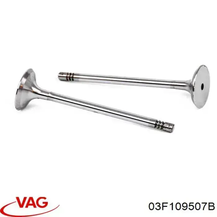 Tensor de cadena de distribución 03F109507B VAG