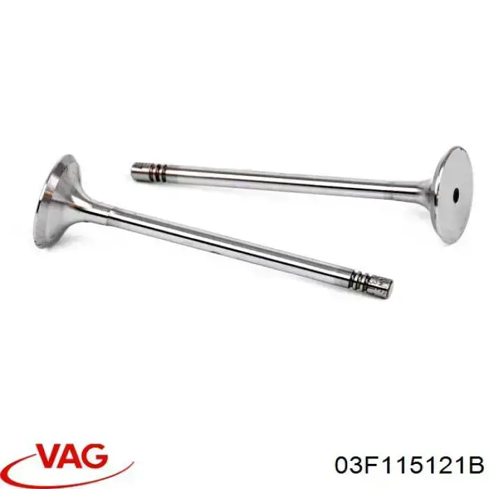  VAG 03F115121B precio, desde 51,17 EUR