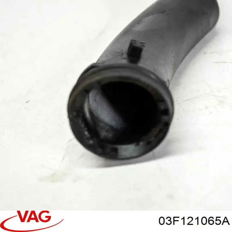 03F121065A VAG manguera (conducto del sistema de refrigeración)