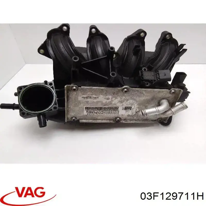 03F129711H VAG 