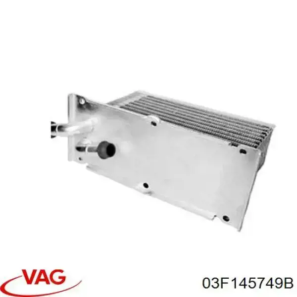 Comprar 03F145749B VAG Radiador de aceite