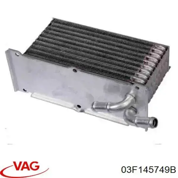 Radiador de aceite 03F145749B VAG