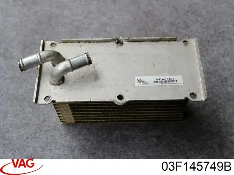 03F145749B VAG Radiador de aceite