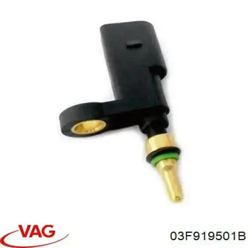 Sensor, temperatura del refrigerante (encendido el ventilador del radiador) Volkswagen Tiguan 1 5N1, 5N2