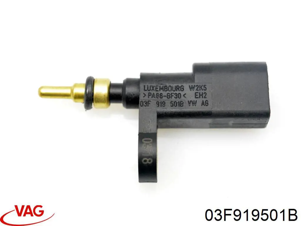 Sensor, temperatura del refrigerante (encendido el ventilador del radiador) Volkswagen Tiguan 1 5N1, 5N2