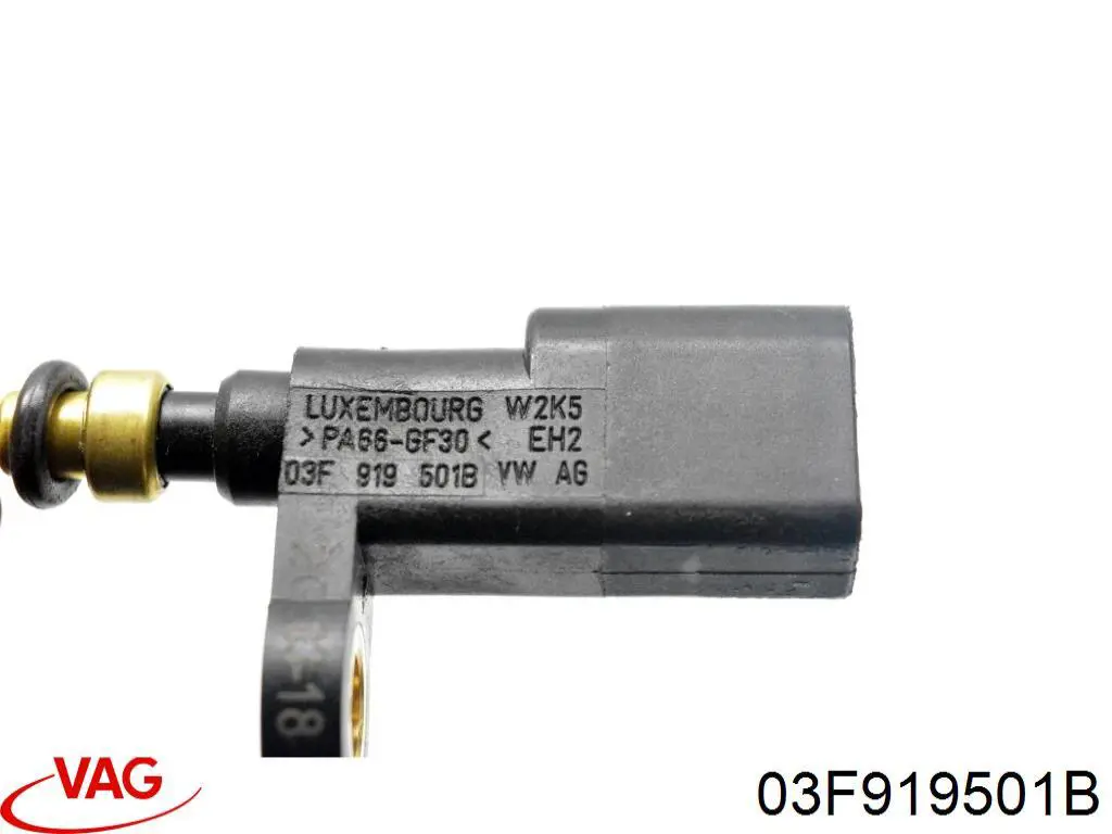 Sensor de temperatura del refrigerante VAG 03F919501B