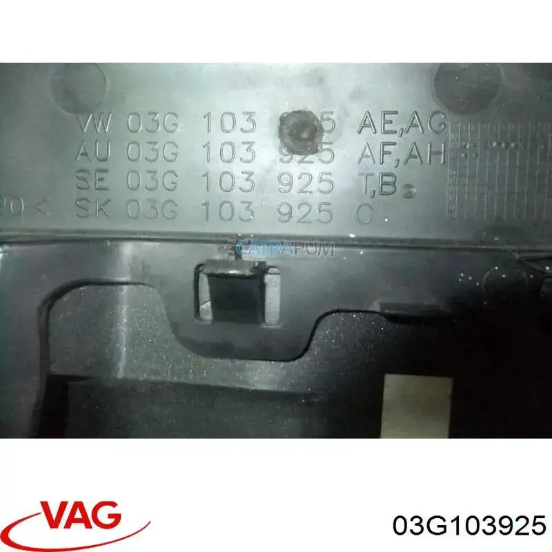 Cubierta decorativa del motor VAG 03G103925 precio, desde 74,05 EUR