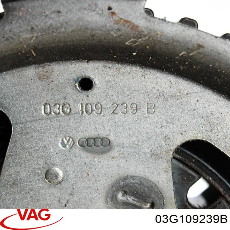 03G109239B VAG