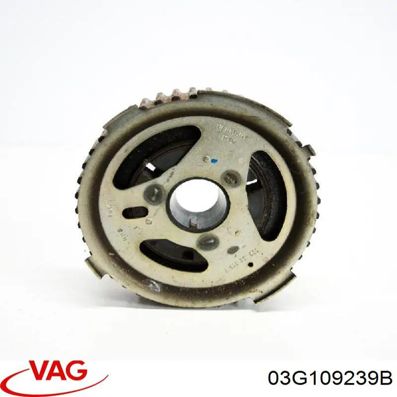 Comprar 03G109239B VAG Brida del engranaje del árbol de levas