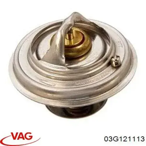 03G121113 VAG Termostato de agua