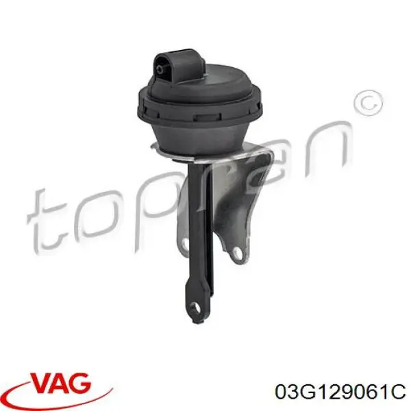 Válvula (actuador) del accionamiento de las mariposas del colector de admisión VAG 03G129061C precio, desde 17,65 EUR