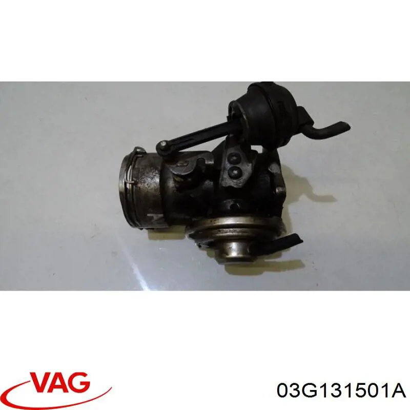 Comprar 03G131501A VAG Válvula EGR