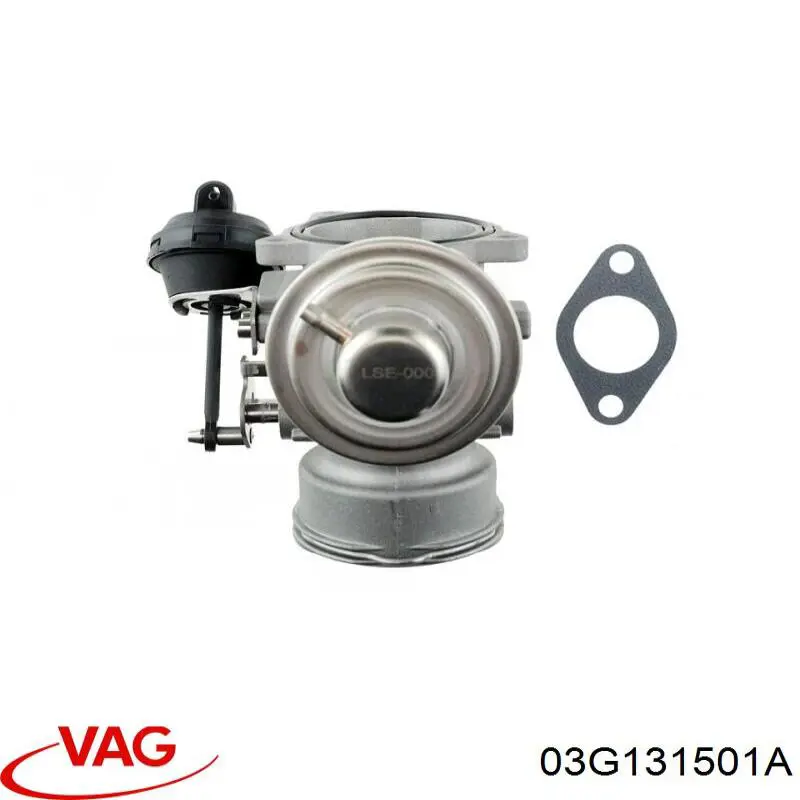 Válvula EGR 03G131501A VAG