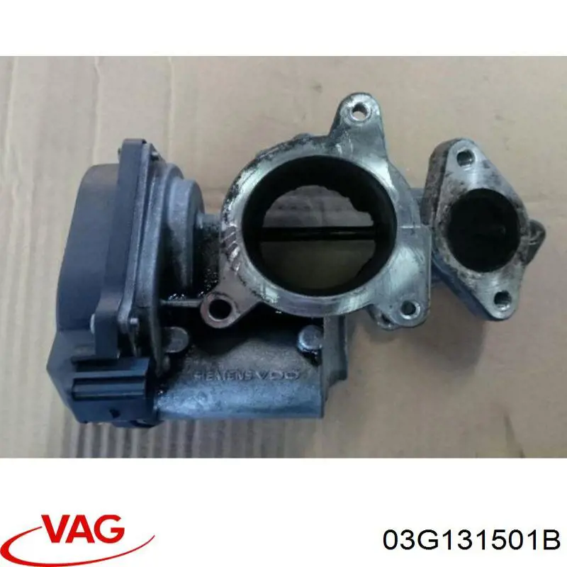 Comprar 03G131501B VAG Válvula EGR
