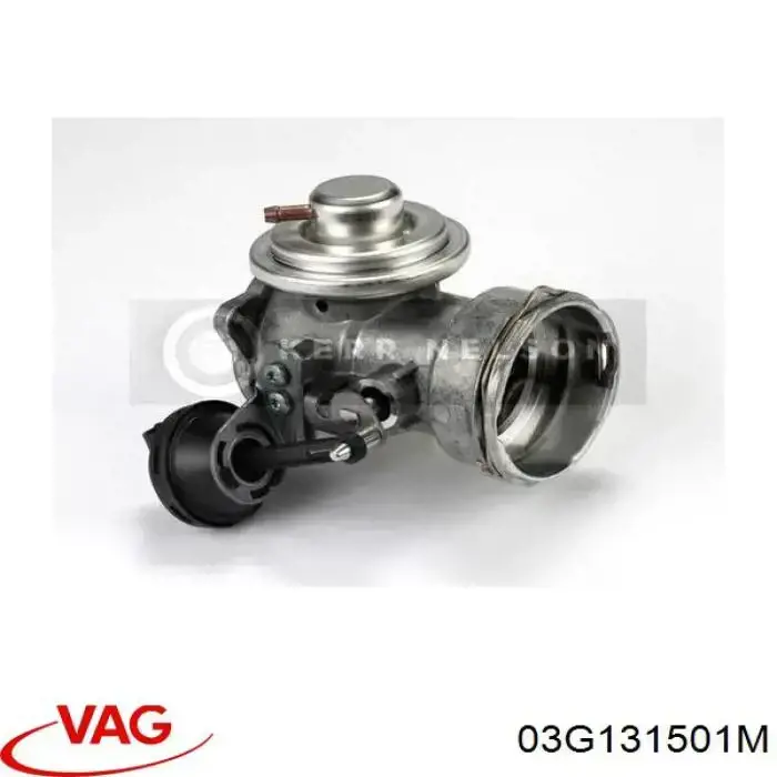 Comprar 03G131501M VAG Válvula EGR