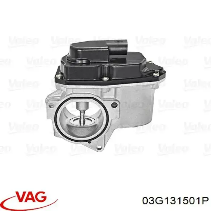Comprar 03G131501P VAG Válvula EGR