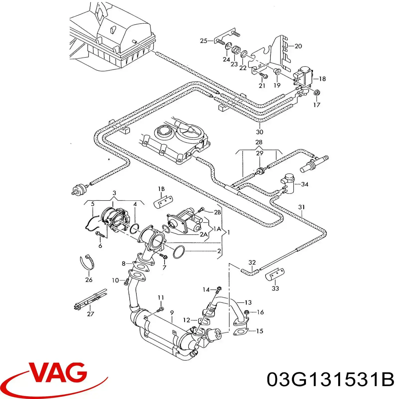 03G131531B VAG 