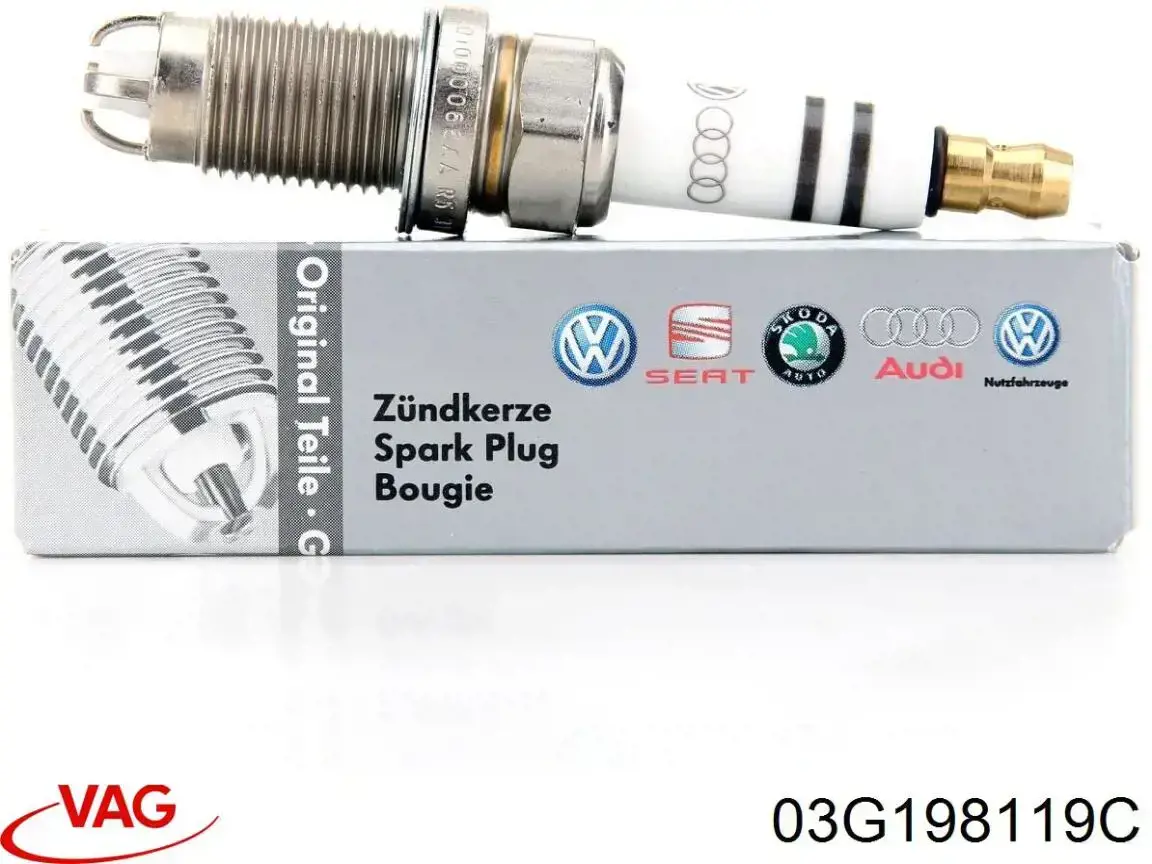 03G198119C VAG Kit correa de distribución