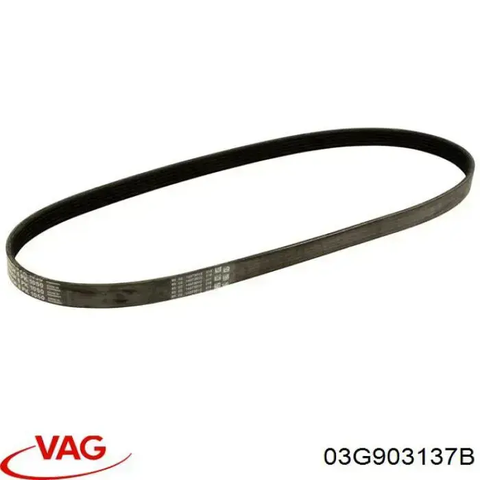 Correa de transmisión trapezoidal VAG 03G903137B precio, desde 23,29 EUR