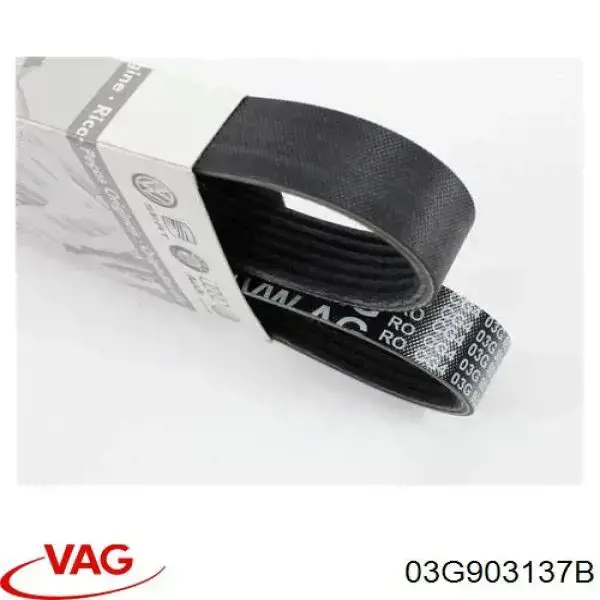 Correa de alternador 03G903137B VAG
