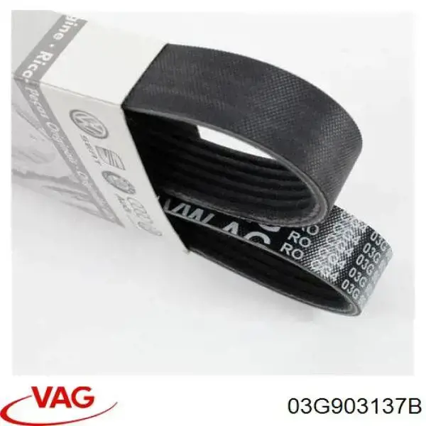 Correa accesorios VAG 03G903137B