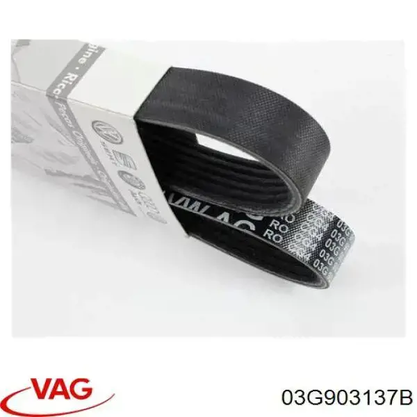 03G903137B VAG Correa poly v
