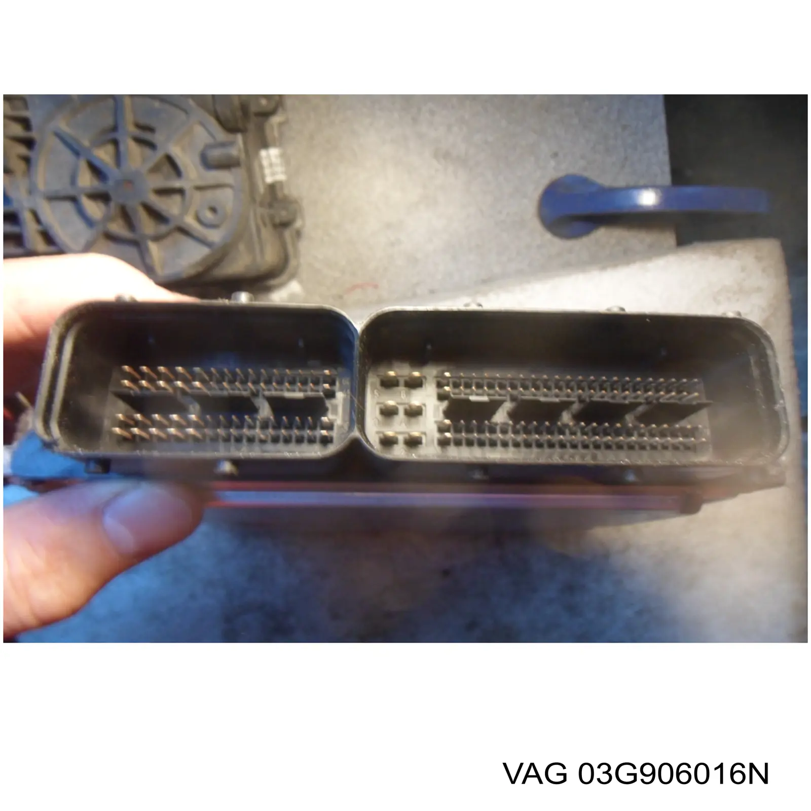 Unidad de control del motor  VAG 03G906016N precio, desde 155,36 EUR