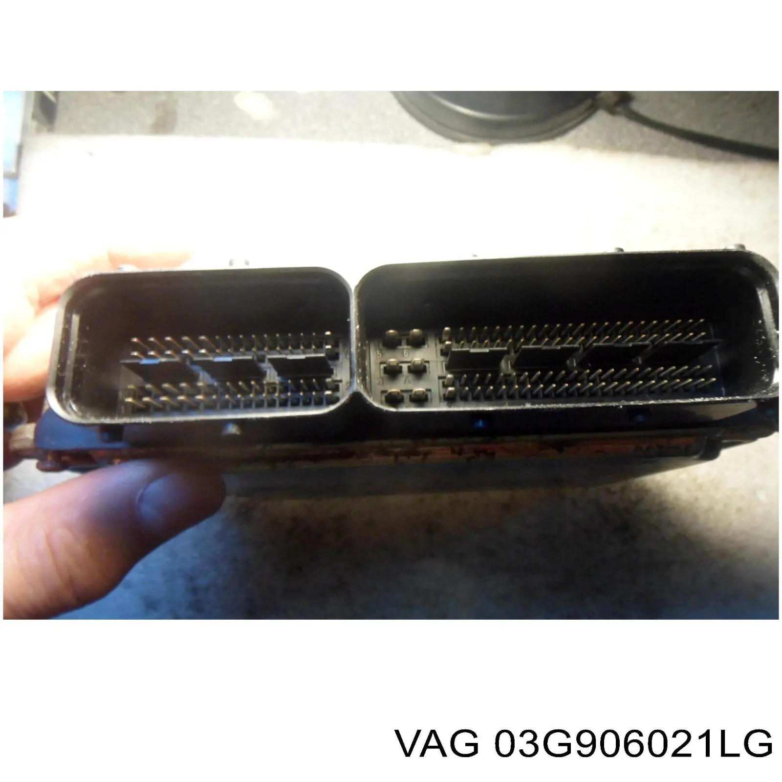 Comprar 03G906021LG VAG ECU