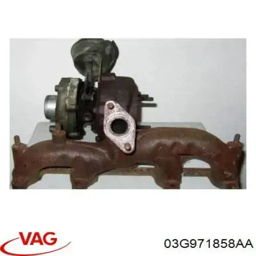  VAG 03G971858AA precio, desde 14,34 EUR