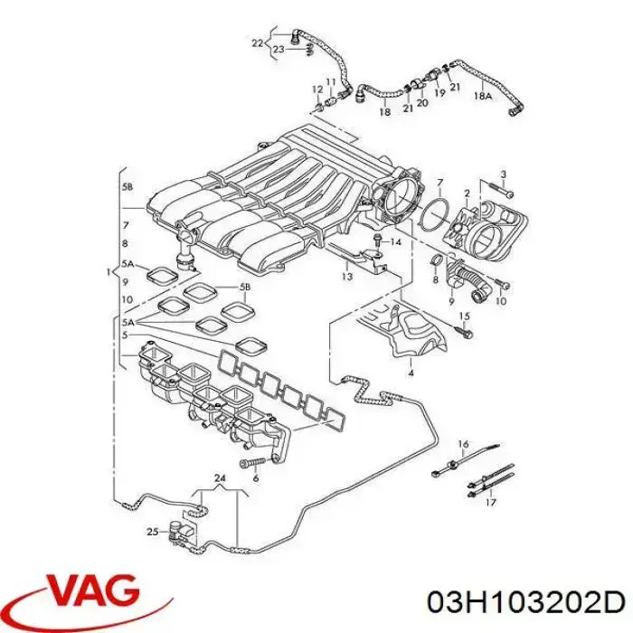03H103202D VAG tubo de ventilacion del carter (separador de aceite)