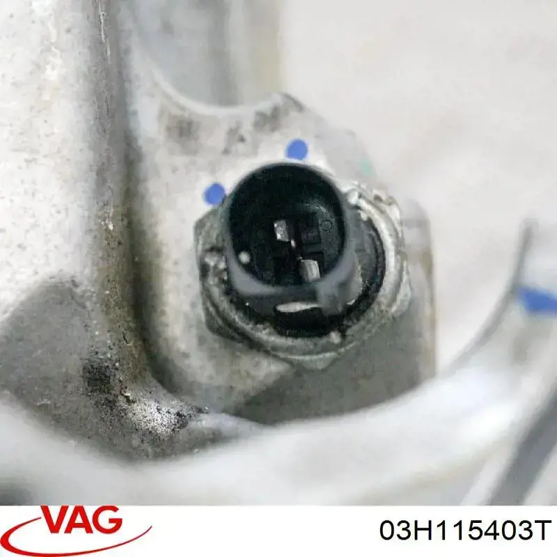 Portafiltro de aceite VAG 03H115403T precio, desde 560,97 EUR