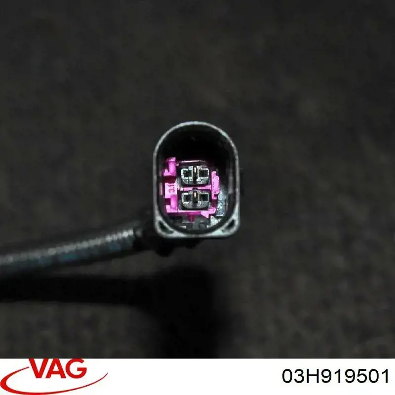 03H919501 VAG Sensor de temperatura del refrigerante del tablero