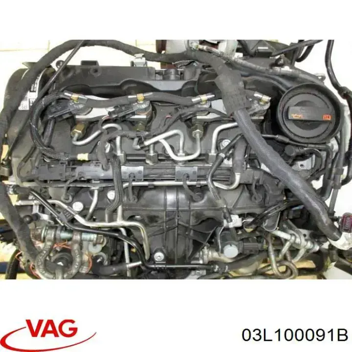Motor completo 03L100091B VAG