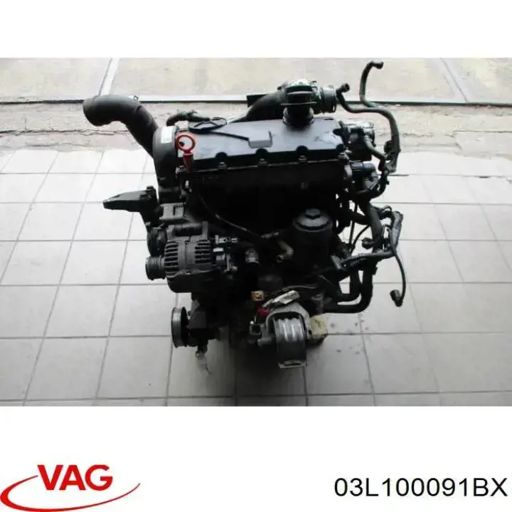 Comprar 03L100091BX VAG Motor completo