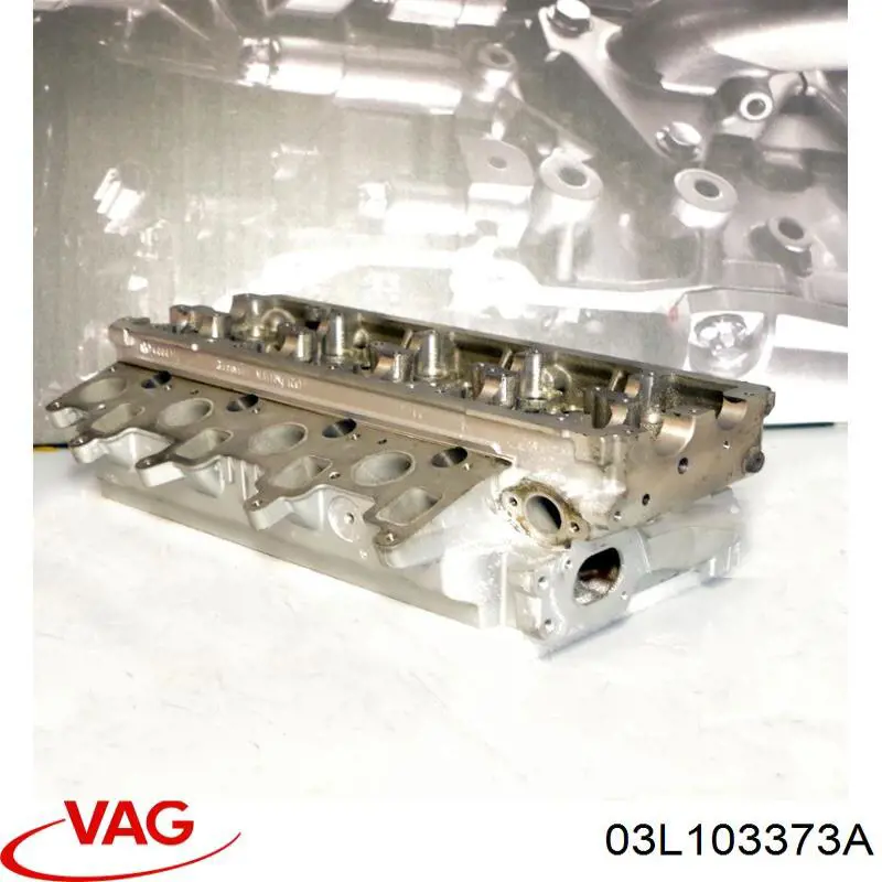 Cabeza de cilindro Volkswagen Golf VI hatchback (5K1) (2008 - 2014) precio, desde 374,06 EUR