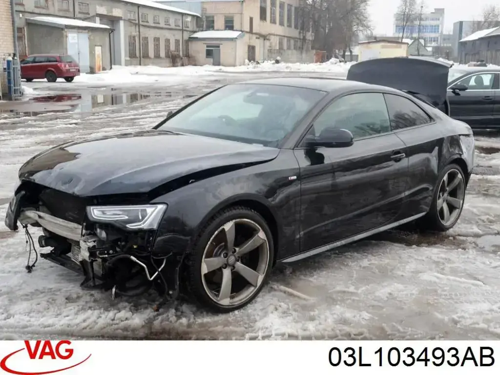 03L103493AB VAG