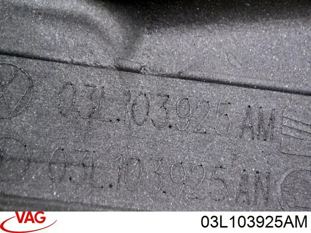 Comprar Tapa motor Volkswagen Tiguan I 5N1, 5N2