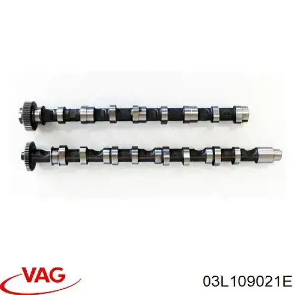 03L109021E VAG Árbol de levas de entrada