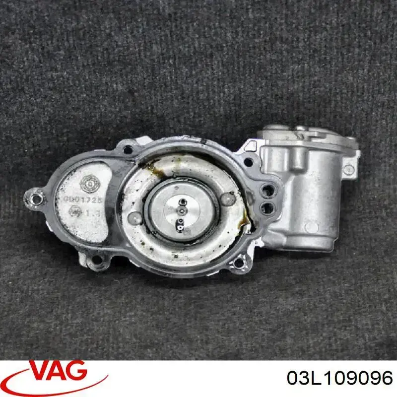 03L109096 VAG