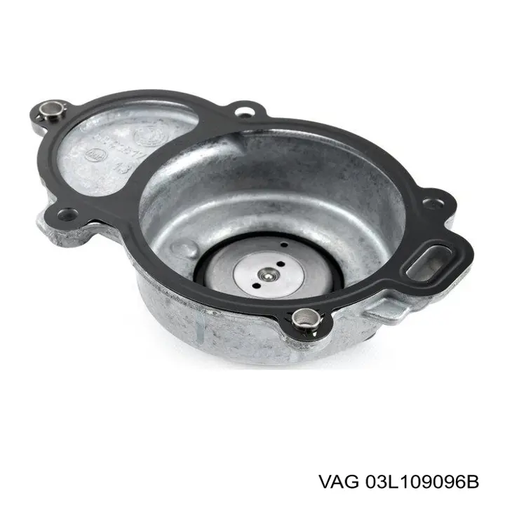  VAG 03L109096B precio, desde 114,04 EUR