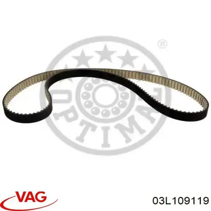 Correa distribución 03L109119 VAG