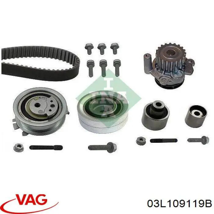 Correa distribución 03L109119B VAG