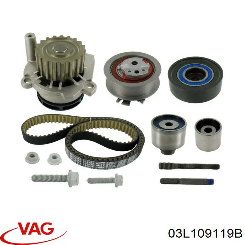 Comprar 03L109119B VAG Correa distribución