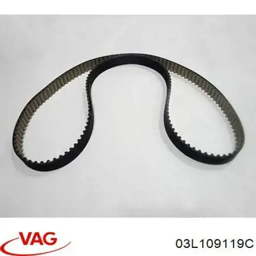 Correa de distribución VAG 03L109119C precio, desde 49,99 EUR