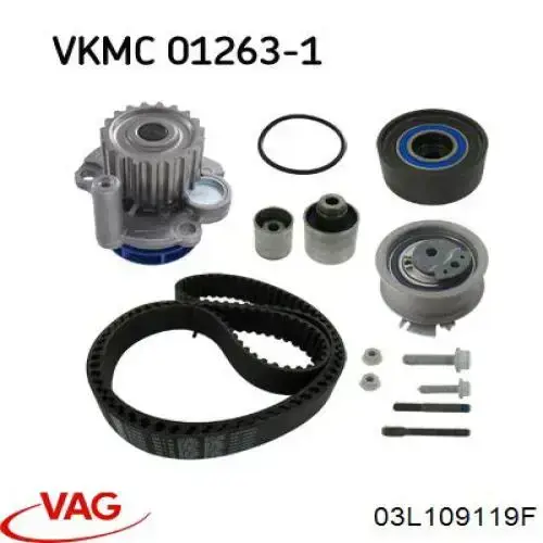 Comprar 03L109119F VAG Correa distribución