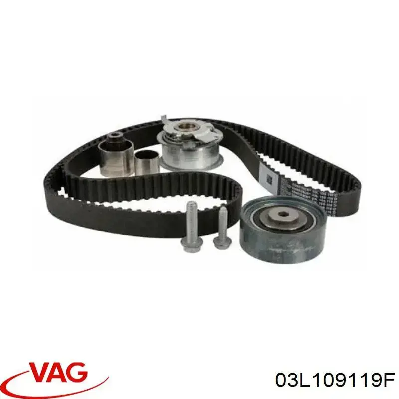 Correa distribución 03L109119F VAG